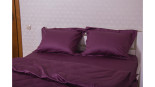 Простынь Billerbeck Neustadt U бордо 180x220 см