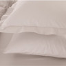 Пододеяльник с наволочками Penelope - Catherine beige бежевый 240х260 см + 50х70 см (2 шт.)