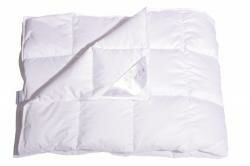 Одеяло пуховое Мона 90% 1000г 140х205 см