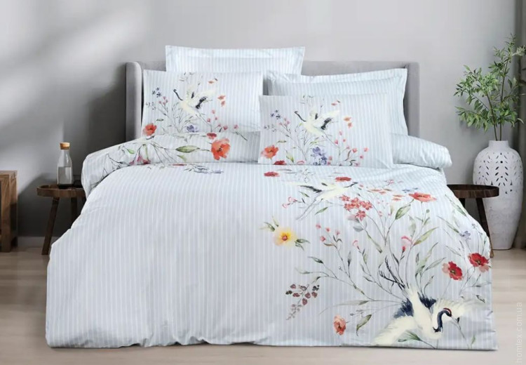 Постельное белье Altinbasak Avila Sky евро