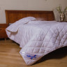 Одеяло Billerbeck Коттона легкое 172x205 см Одеяло Billerbeck Коттона легкое 172x205 см