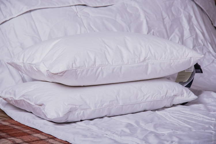 Подушка Billerbeck Ambiente 50x70 см