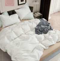 Постельное белье Вилюта вареный хлопок Wash 03 Геометрия евро