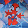 Постельное белье Tac Disney Spidey and Friends детский