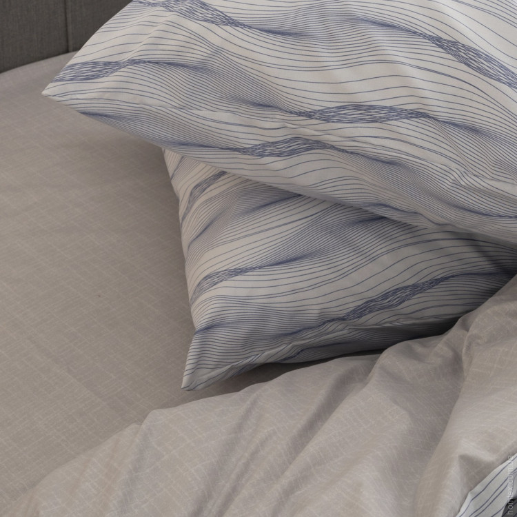 Постільна білизна Вілюта 24268 ранфорс євро