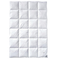 Ковдра Billerbeck E04 Goldedition Mono 200x220 см Ковдра Billerbeck E04 Goldedition Mono 200x220 см