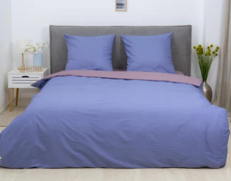 Постельное белье Вилюта 819 сатин-твилл полуторный