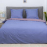 Постельное белье Вилюта 819 сатин-твилл полуторный