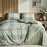 Постельное белье Вилюта вареный хлопок Wash 15 Геометрия евро