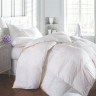 Пуховое кассетное одеяло Mirson Raffaello белый пух 110x140 см, №061 (Деми) Пуховое кассетное одеяло Mirson Raffaello белый пух 110x140 см, №061 (Деми)
