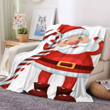 Плед - покрывало из микрофибры Homytex Sherpa с рисунком 150x200 см, модель 4