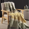 Плед Biederlack бавовняний Wohndecke Stripe Delight 150x200 см