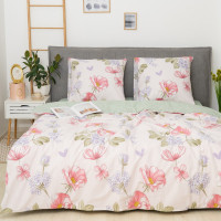 Постільна білизна Вілюта 25364 ранфорс євро