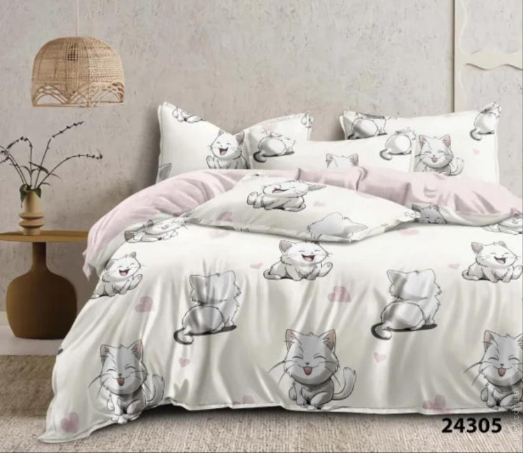 Постельное белье Вилюта 24305 ранфорс подростковый