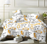 Постельное белье Вилюта 25375 ранфорс подростковый