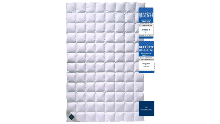 Ковдра Billerbeck Nena Superlight 280 гр., літня, гусячий пух, 155x220 см Ковдра Billerbeck Nena Superlight 280 гр., літня, гусячий пух, 155x220 см