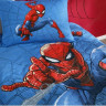 Покривало TAC Disney Spiderman Focus 160x220 см з наволочкою