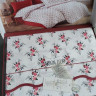 Постельное белье Maison Dor Diana Rose red евро