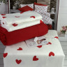 Постільна білизна Romeo Home фланель євро модель 4