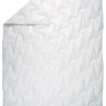 Ковдра Billerbeck Наталия 1500 гр. 200x220 см