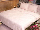 Постільна білизна Pavia Mistral pink євро