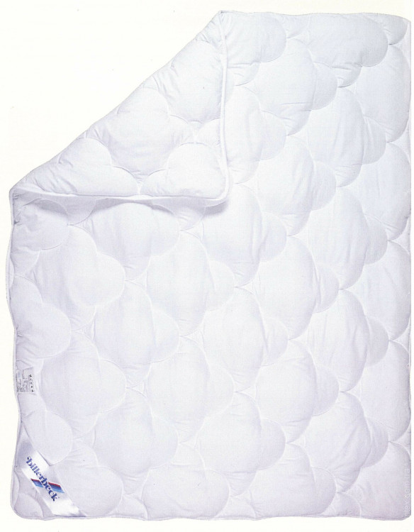 Одеяло Billerbeck Нина 1100 гр. 200x220 см.