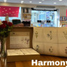 Постільна білизна TAC Reborn Harmony yesil євро