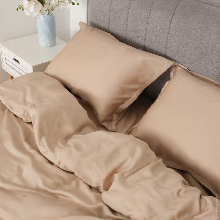 Постільна білизна Вілюта Tencel Т-13B євро